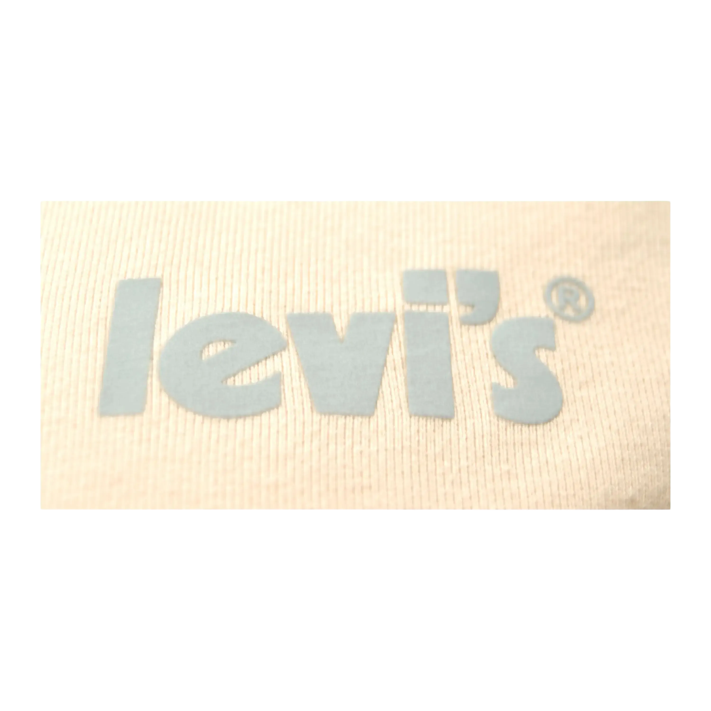 Levi's Graphic Standard Hoodie