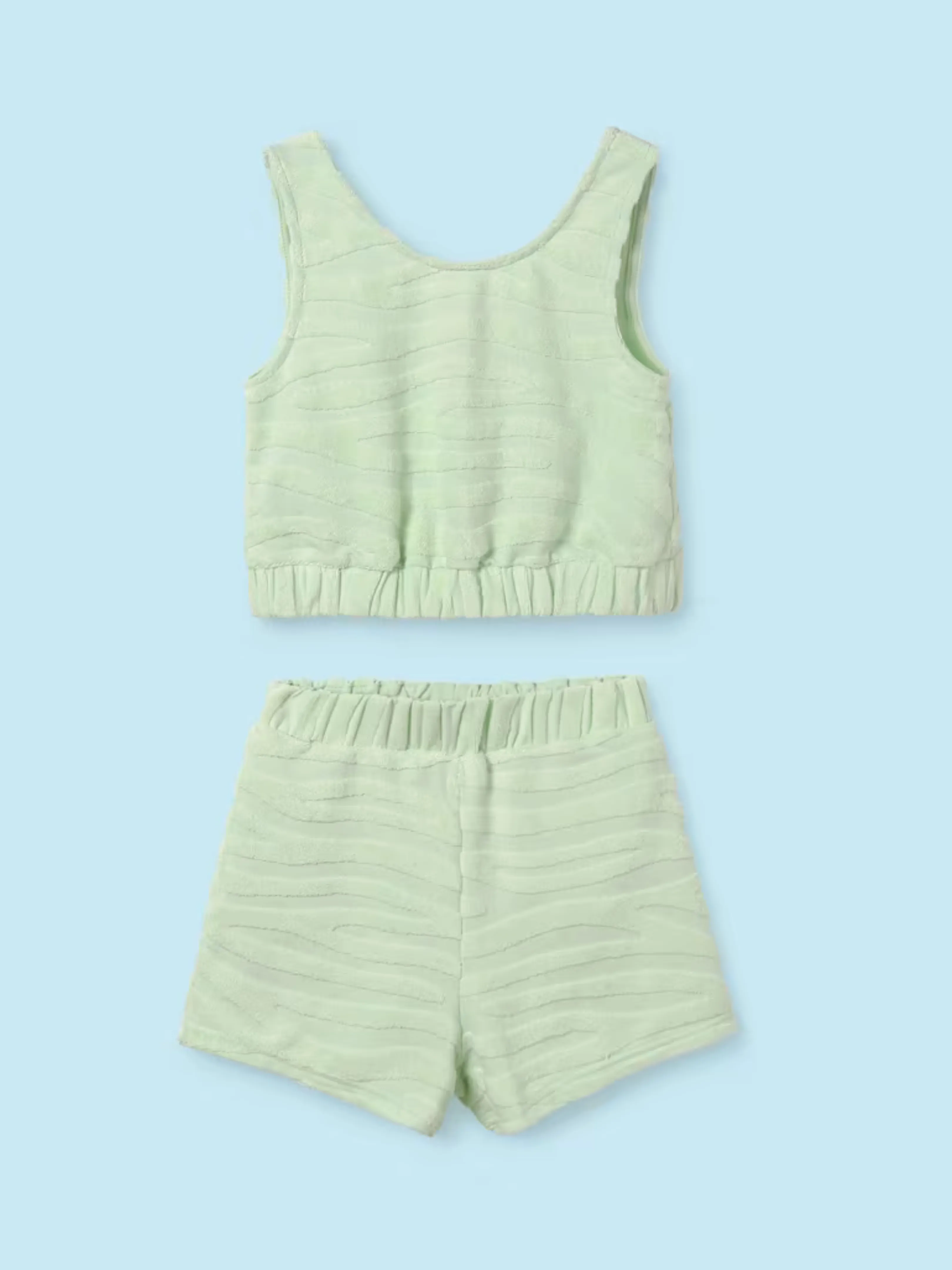 Sage Zebra Print 2pc Set - Big Girl