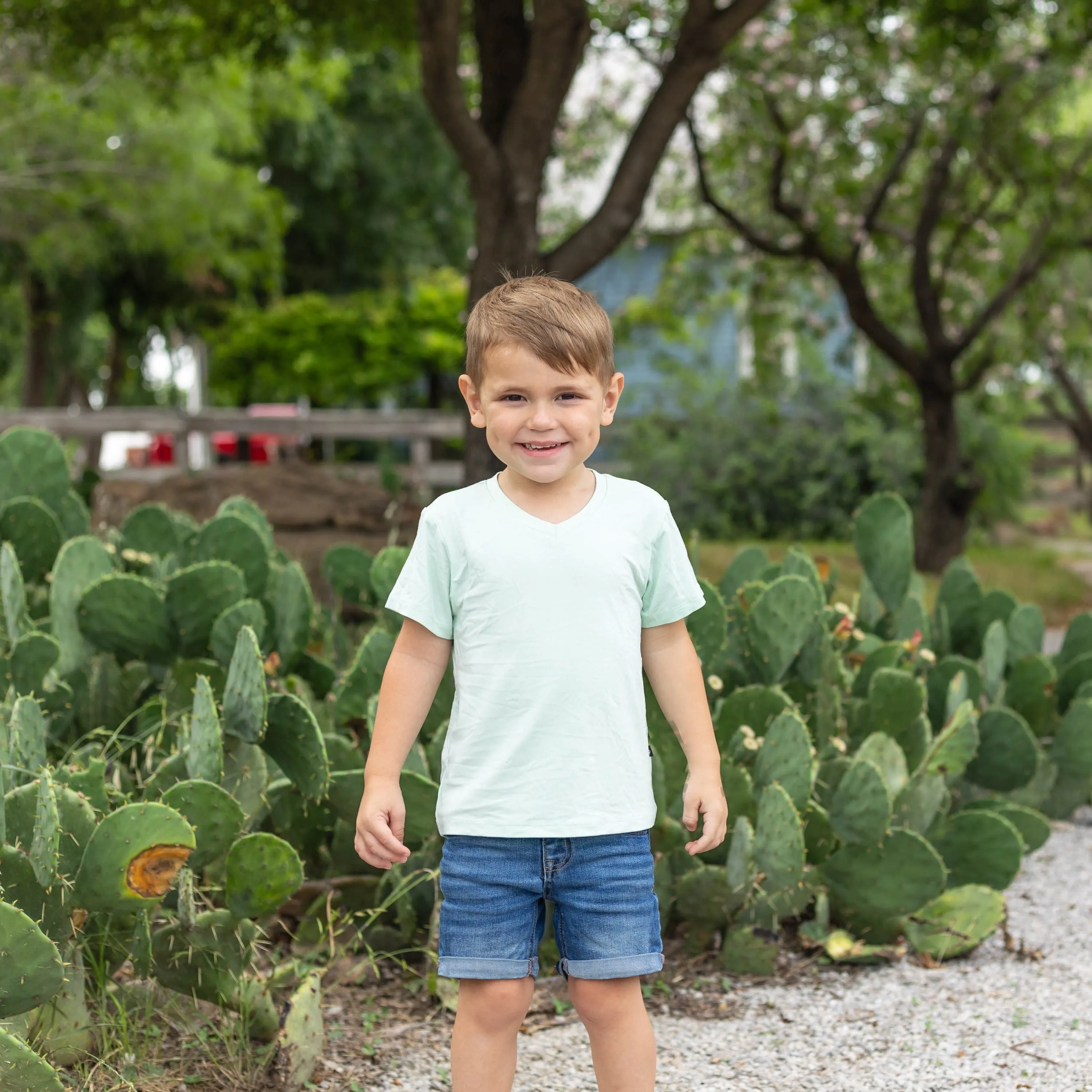 Toddler V-Neck Tee in Mint